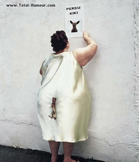 Perdu Kiki